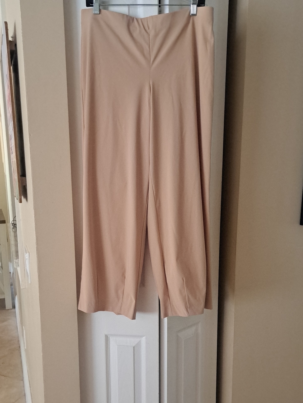 RAFFAELLO ROSSI Tan Sally 7/8 Style  Wide-Leg Hem  Pleats  Pull-On Pant LNWOT 12